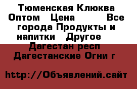 Тюменская Клюква Оптом › Цена ­ 200 - Все города Продукты и напитки » Другое   . Дагестан респ.,Дагестанские Огни г.
